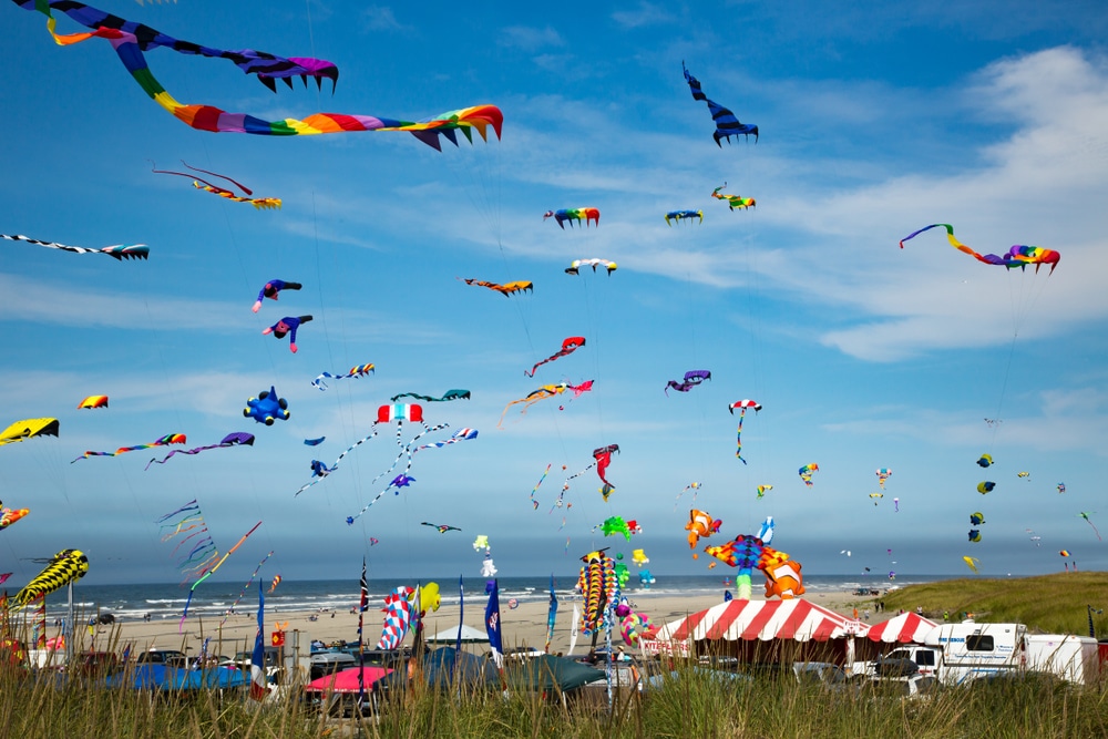 One of the best things to do in Long Beach WA is the annual kite festival